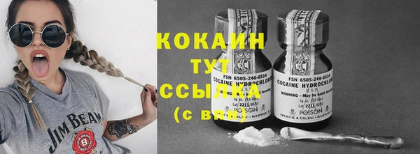 индика Няндома