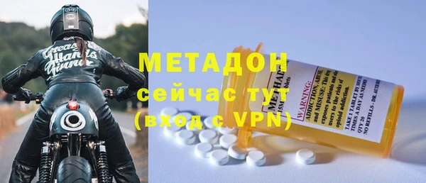 индика Няндома