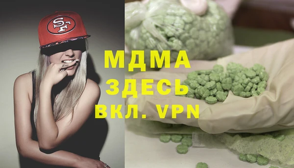 индика Няндома