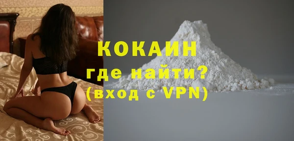 индика Няндома