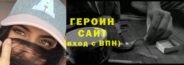 индика Няндома