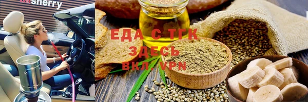 индика Няндома