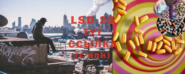 индика Няндома