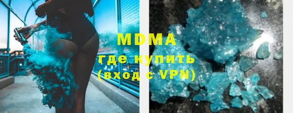 индика Няндома