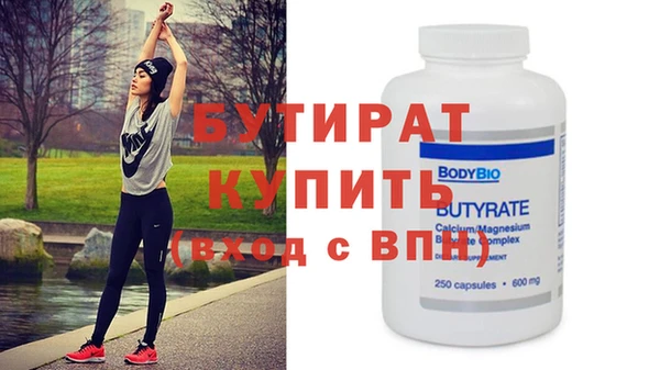 индика Няндома
