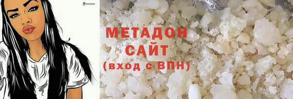 индика Няндома
