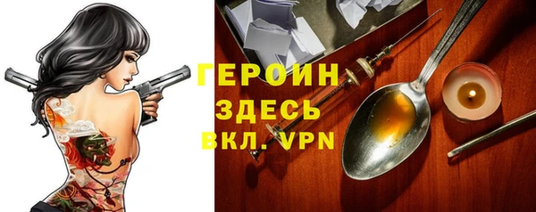 индика Няндома