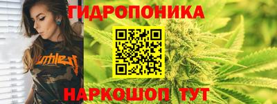 скорость Аргун