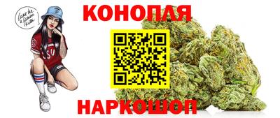 дмт Заводоуковск