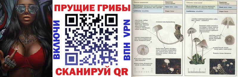 Псилоцибиновые грибы прущие грибы  Сургут 