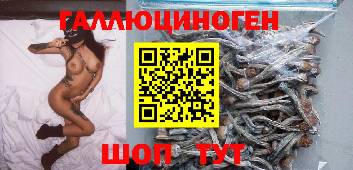 Псилоцибиновые грибы Cubensis  Сургут 