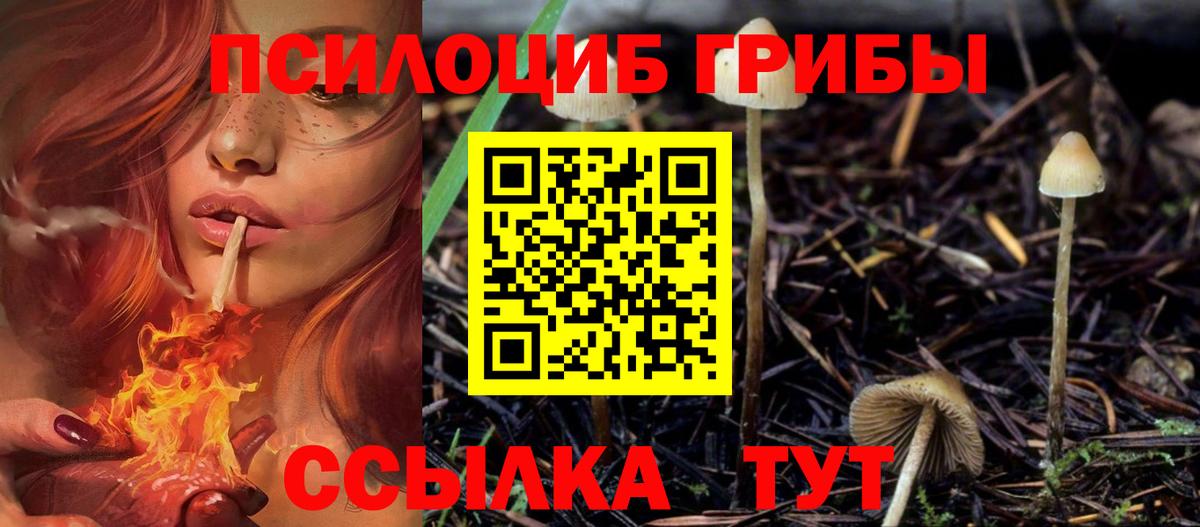 Псилоцибиновые грибы GOLDEN TEACHER Сургут
