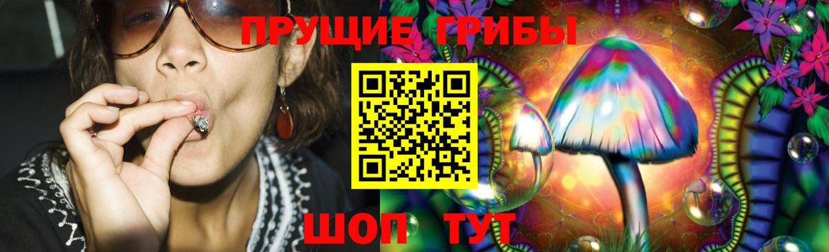 Сургут  Галлюциногенные грибы прущие грибы  где можно купить наркотик  Вход с VPN 